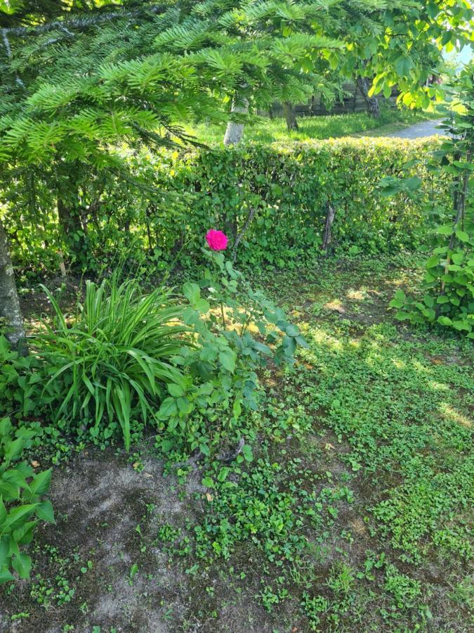 Holiday Home Hizica V Plavem Trnacu Gornja Stubica Buitenkant foto