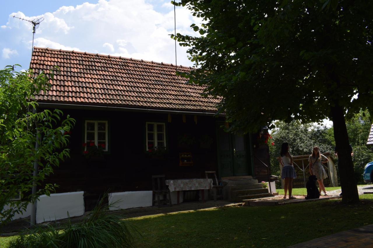 Holiday Home Hizica V Plavem Trnacu Gornja Stubica Buitenkant foto