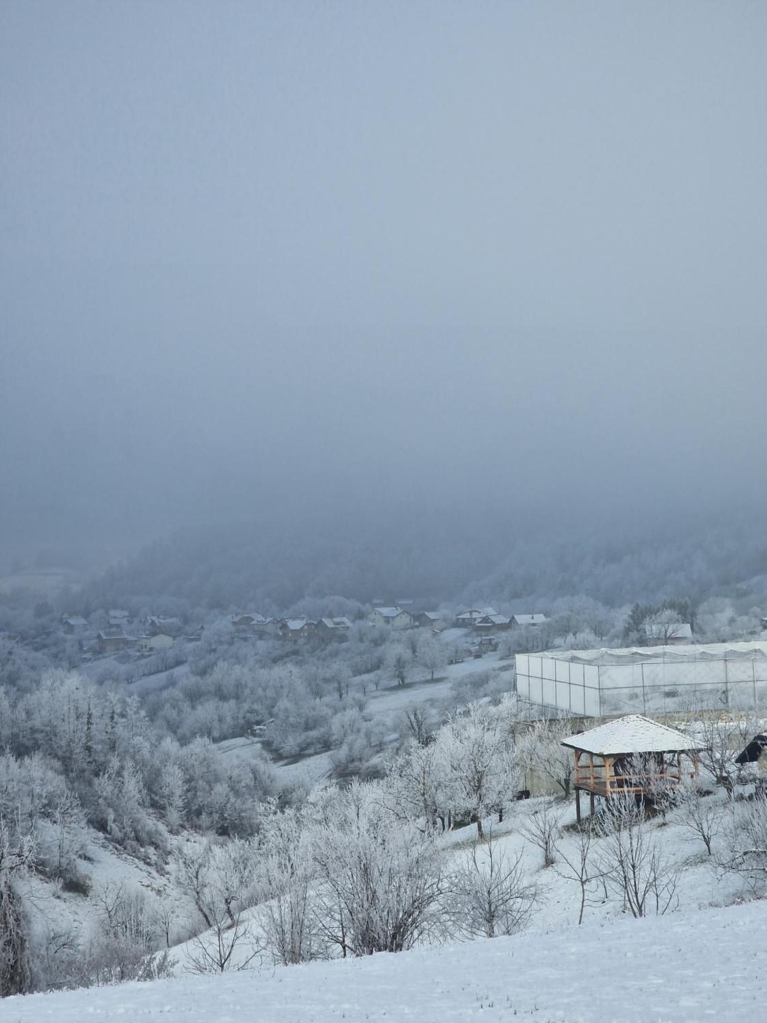Holiday Home Hizica V Plavem Trnacu Gornja Stubica Buitenkant foto